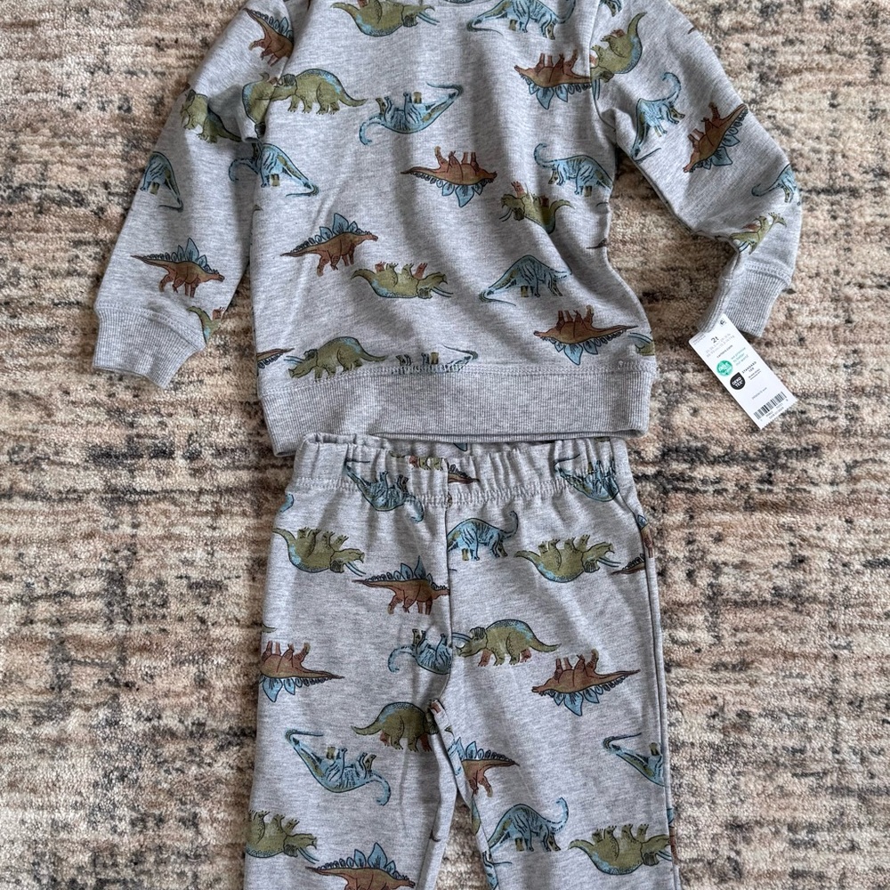 Carter's Gray and Green Pajama Set with Dinosaur Print